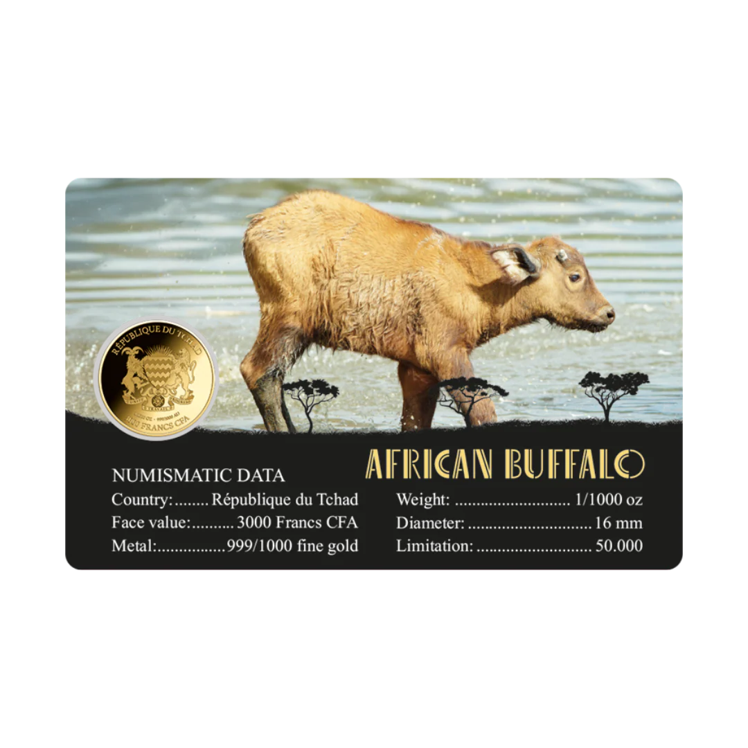 African Buffalo Coin Card - Gold Gift - Image 2