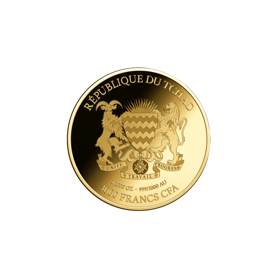 African Buffalo Coin Card - Gold Gift - Image 4