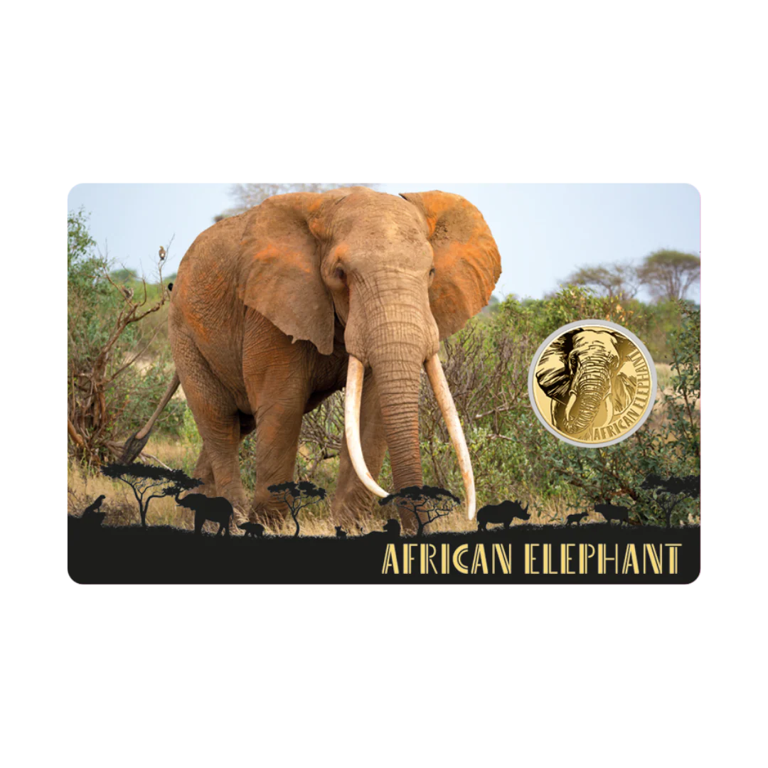African Elephant Coin Card - Gold Gift