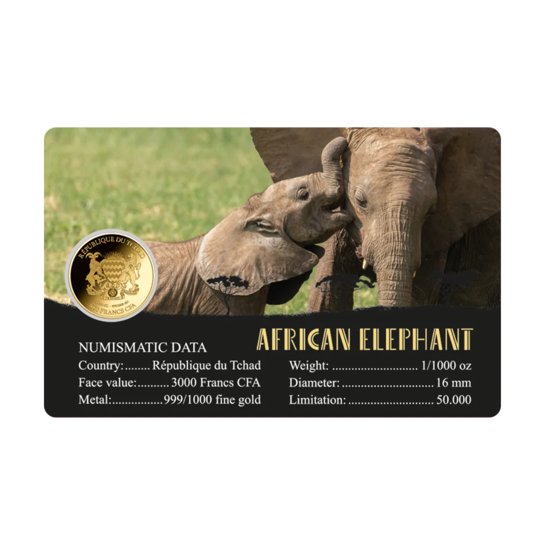 African Elephant Coin Card - Gold Gift - Image 2