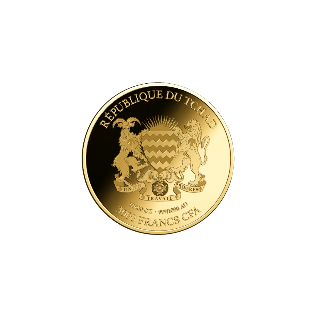 African Elephant Coin Card - Gold Gift - Image 4