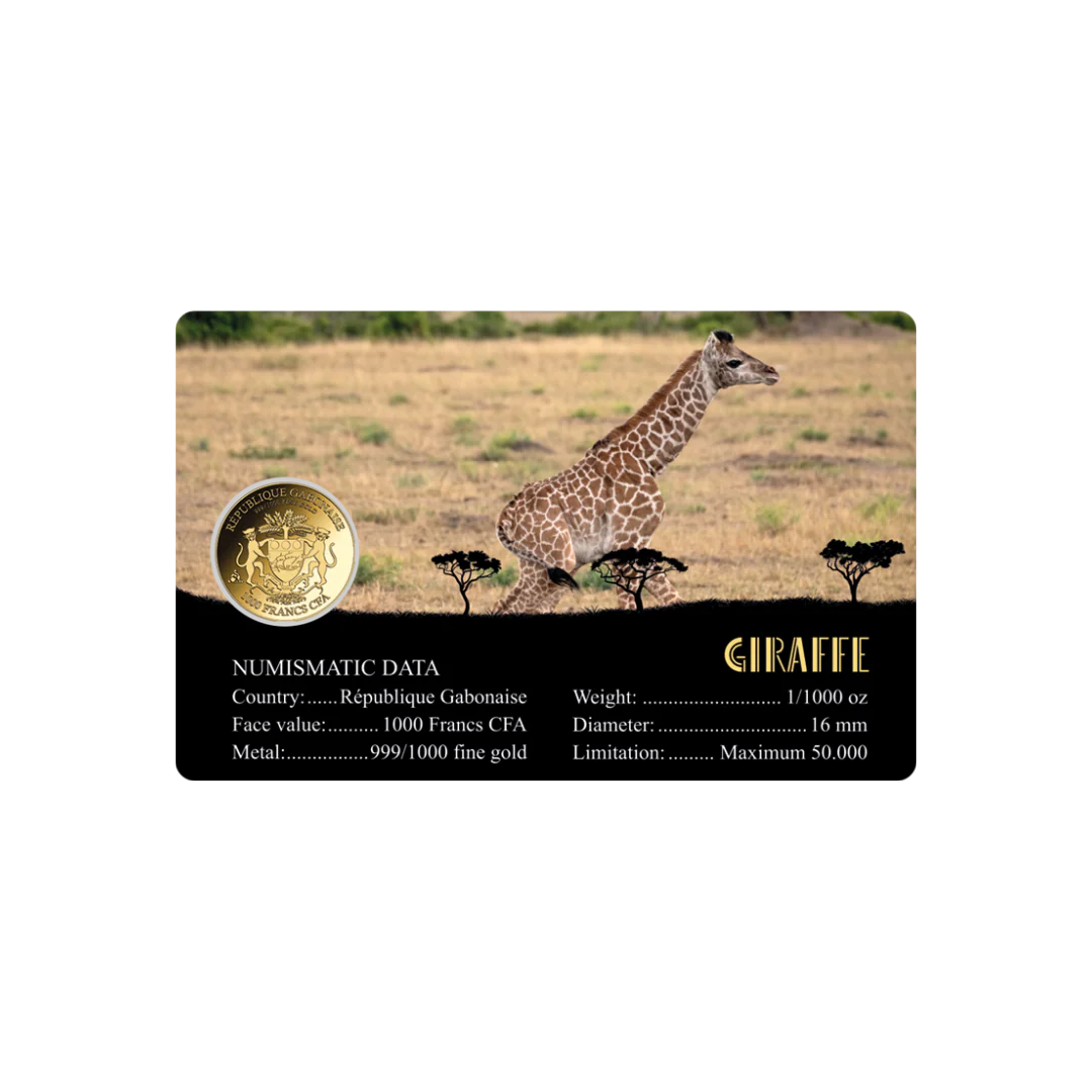 African Giraffe Coin Card - Gold Gift - Image 2