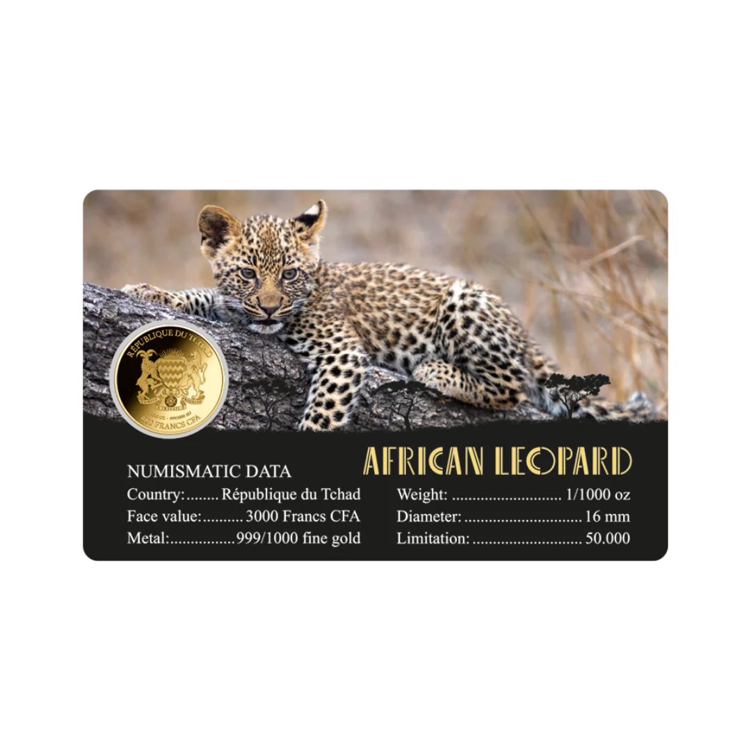 African Leopard Coin Card - Gold Gift - Image 2