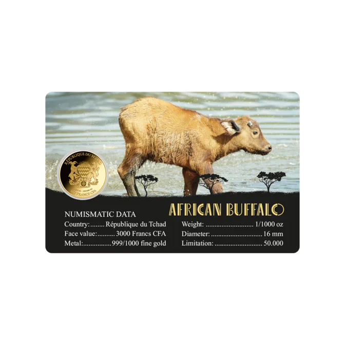 American Buffalo Coin Card 999/1000 1/1000oz - Gold Gift Preowned - Image 2