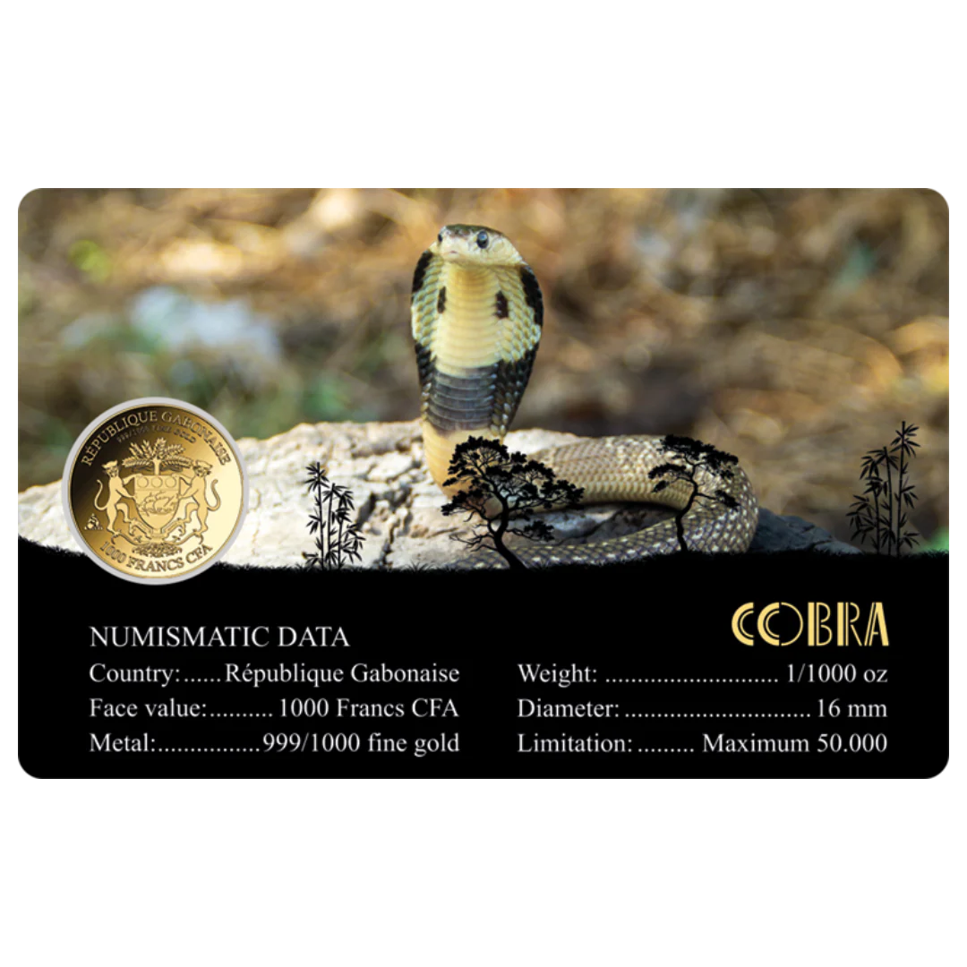 Cobra Coin Card - Gold Gift - Image 2