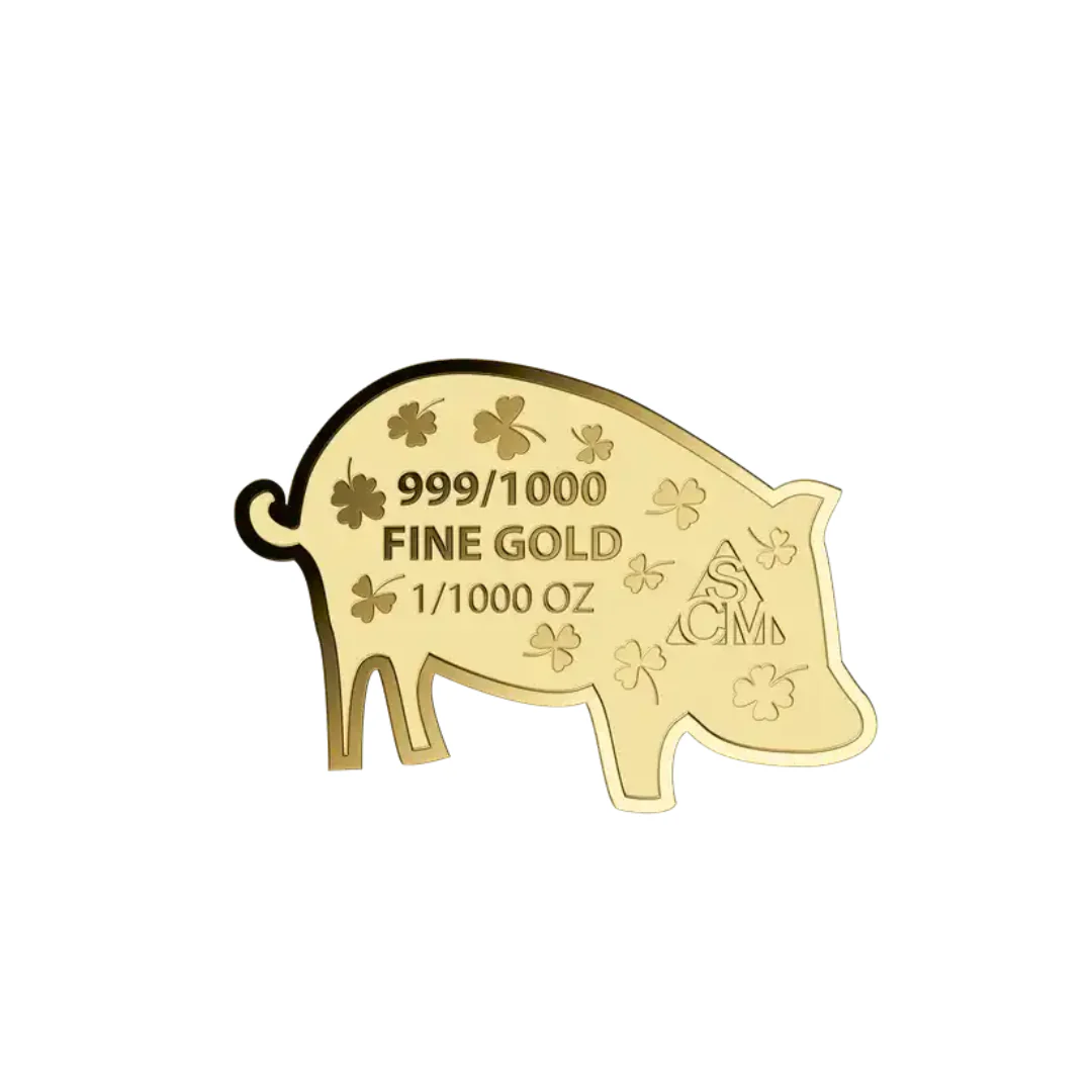 Luck Pig in Gift Box - Gold Gift - Image 2